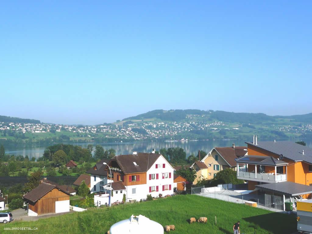 Terrassenhaus Aesch