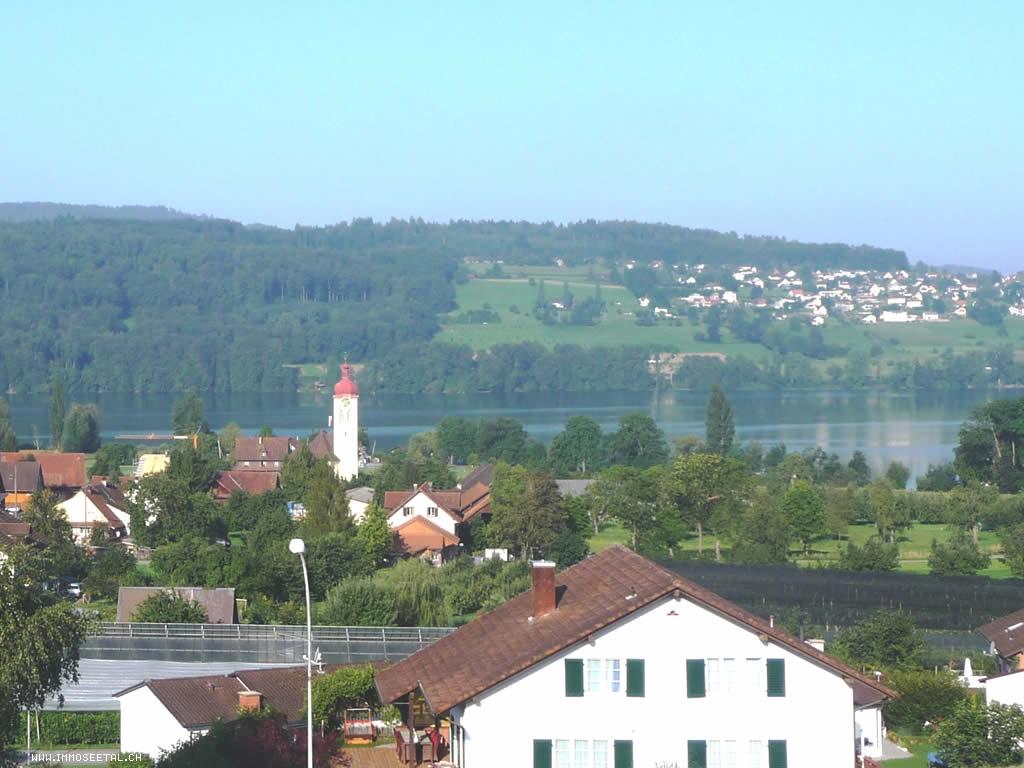 Terrassenhaus Aesch