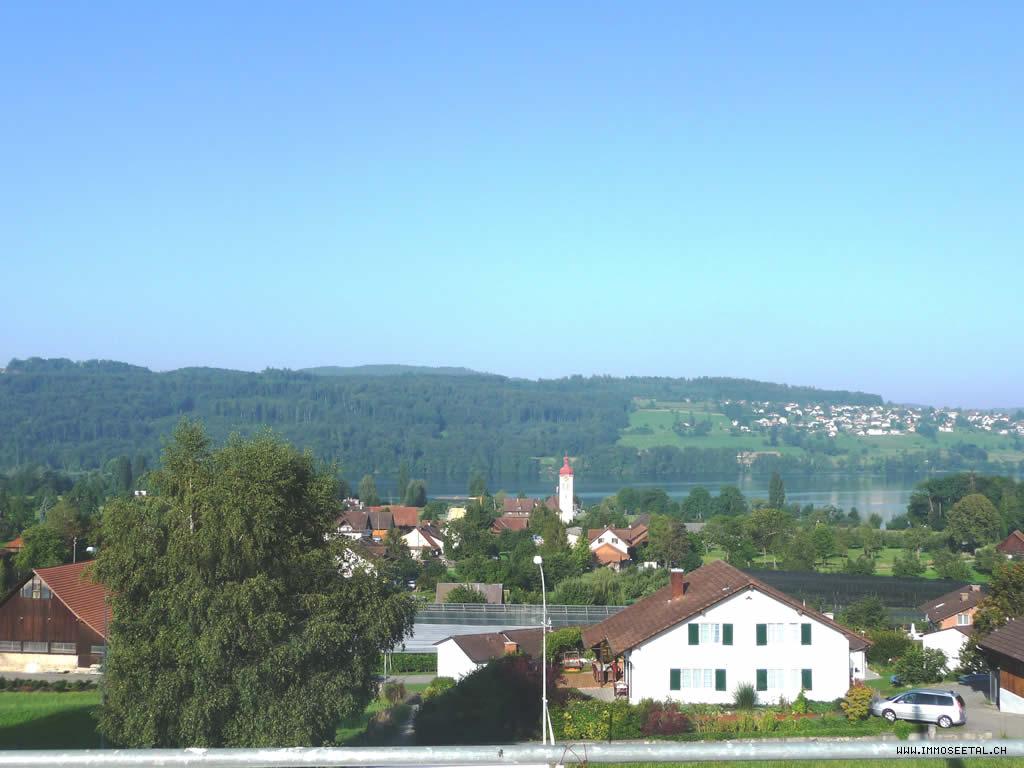 Terrassenhaus Aesch